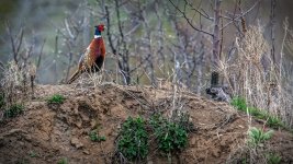 DSC_9149-Edit.jpg