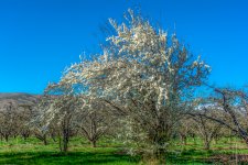 DSC_9269-Edit-Edit.jpg