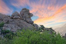 04-17-18-cr_7505519-ON1.jpg
