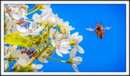 DSC_9201-Edit-001.jpg