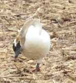 DSCN3241.jpg