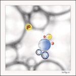 D72_1754-Modifier.jpg