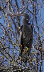 DSC_1532_DxO-2.jpg
