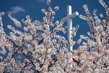 DSC_5863 low res.jpg