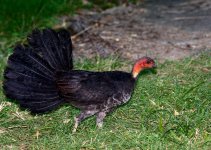 DSC_6025.jpg