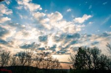 20180426 Morning light-2219.jpg