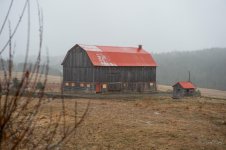 DSC_2465.jpg