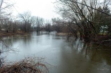 DSC_2468.jpg