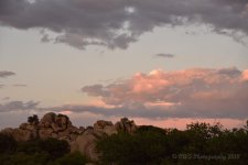 04-28-18-cr__7505596.jpg