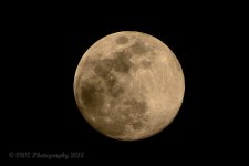 04-28-18-cr__D7K8975.jpg