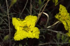 04-29-18-cr__7505621.jpg