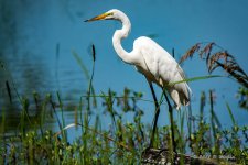 D73_1571-Edit.jpg