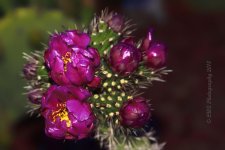 05-02-18-cr__7505638.jpg