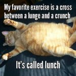 147199124755115-animal-memes-lazy-people-3-1.jpg