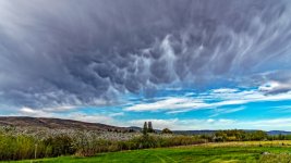 750_9592-Edit-001.jpg