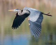 GBHFlight-340.jpg
