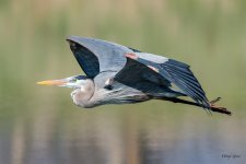 GBHFlight-345.jpg