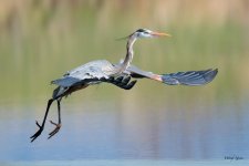 GBHFlight-353.jpg