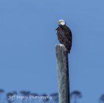 DSC_4720.jpg