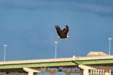 DSC_4542.jpg