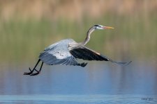 GBHFlight-354.jpg