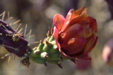 05-03-18-cr__7505696.jpg