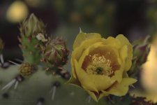 05-03-18-cr__7505704.jpg