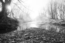 StVrainFog-302.jpg