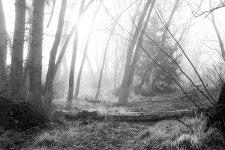StVrainFog-303.jpg