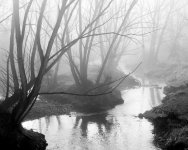 StVrainFog-304.jpg
