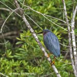 DSC_5048-2.jpg