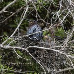 DSC_5031.jpg