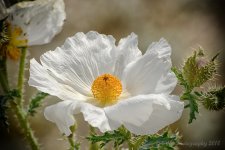 05-06-18-cr__D7K9036.jpg