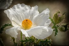05-06-18-cr__D7K9037.jpg