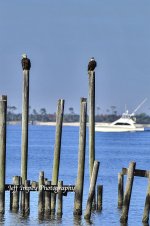 _DSC7278.jpg