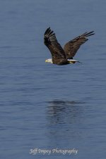 _DSC7298.jpg
