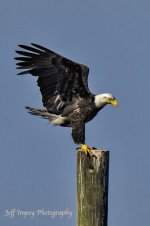 _DSC7316.jpg