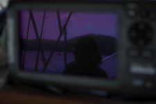 AHW_3174.jpg