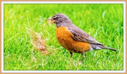 DSC_9927-Edit.jpg