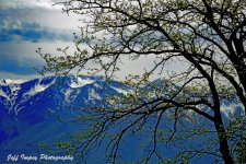DSC_5227.jpg