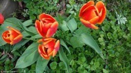 20180511_152256.jpg