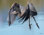 GBHFlight-373.jpg
