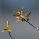 D72_2012.jpg