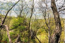Vernon County 20180510-2478.jpg