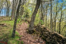 Vernon County 20180510-2490.jpg