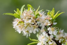 Spring-302.jpg