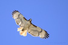 05-16-18-cr__D7K9156.jpg