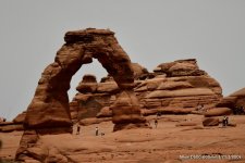 1C0C5554-56B8-4374-A0DA-70570269CC32.jpg