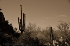 05-21-18-cr-bw__7506037.jpg