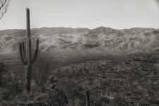05-21-18-cr-bw__7506020.jpg